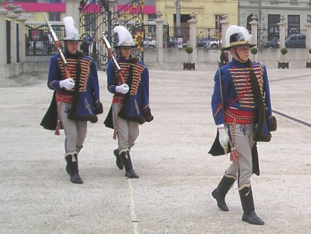 La guardia davanti il Palazzo presidenziale